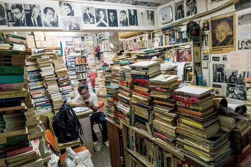 買書如山倒 從狂熱到理性的閱讀投資之旅