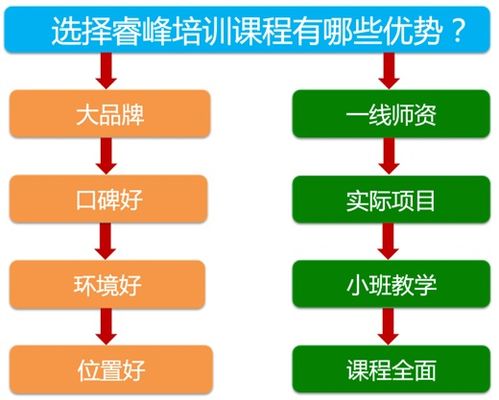 成都網(wǎng)絡(luò)營銷培訓(xùn)與網(wǎng)絡(luò)技術(shù)服務(wù)概覽